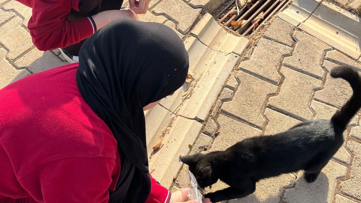 Dünya Hayvanları Koruma Günü